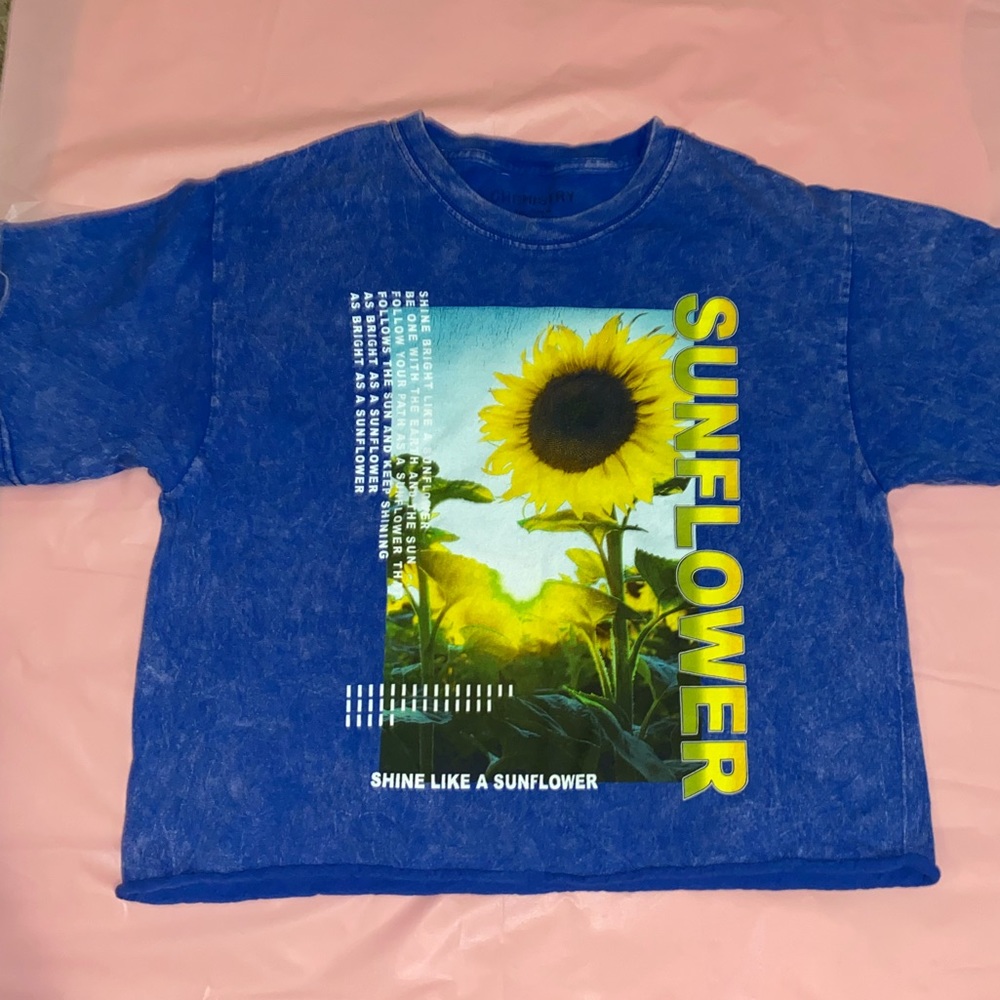 Blue Acid Wash Crop Tee